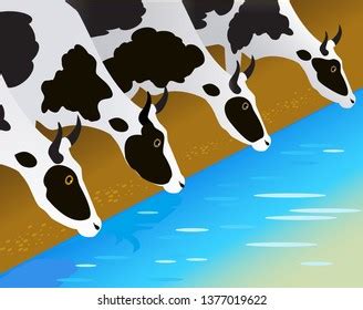 11,764 Cow Drinking Water Royalty-Free Photos and Stock Images | Shutterstock