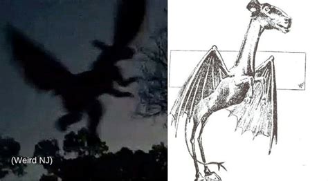 NJ resident says he has photo evidence of Jersey Devil | PIX11