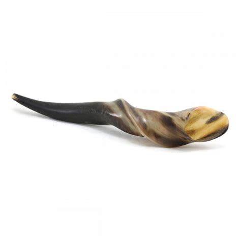 25+ Best Shofar Horns & Kosher Shofar Types from Israel [Kudu, Ram's Horn & Exotic] (2020 ...