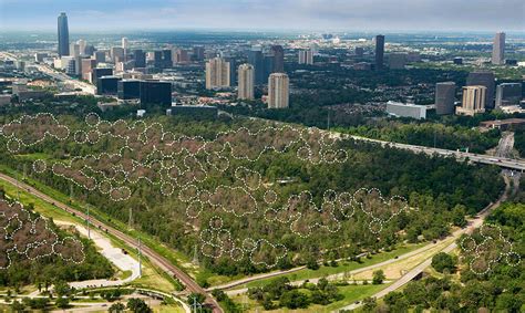 Houston Arboretum and Nature Center, Phase 1 | Landscape Performance Series