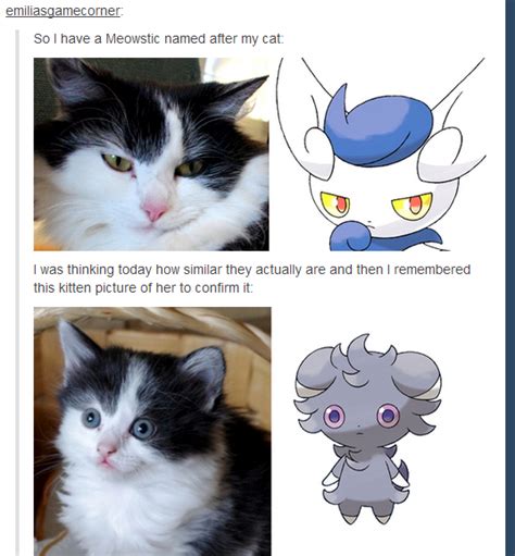 Pokemon Cat | Espurr's Stare | Know Your Meme