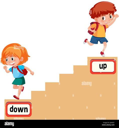 Opposite words for down and up illustration Stock Vector Image & Art - Alamy