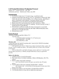 Cell Fusion/Hybridoma Production Protocol / cell-fusion-hybridoma-production-protocol.pdf / PDF4PRO