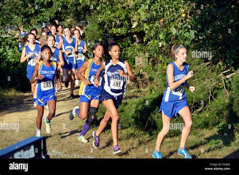 High school cross country Stock Photo - Alamy