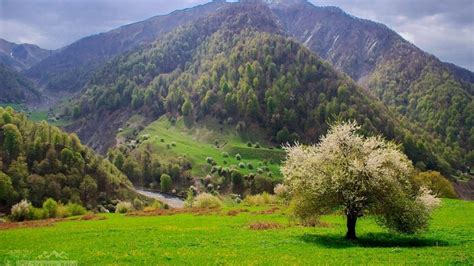 Azerbaijan's Hyrkan Forests Have Been Included in UNESCO World Heritage ...