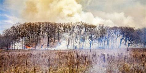 Study reconstructs 232-year history of prairie fire in Midwestern US