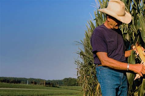 Georgia Grown | A Division of the Georgia Department of Agriculture