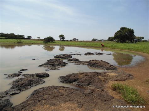 Kas Pathar - Flowers valley in Maharashtra - Journey & Life.