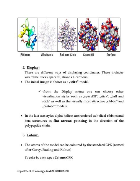 Protein structure visualization tools-RASMOL