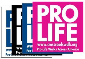 Pro-Life Bumper Sticker - Crossroads