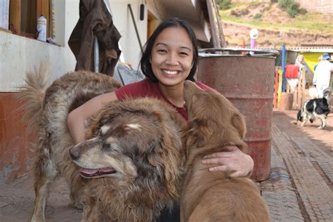 Volunteer Peru Amazon Wildlife Sanctuary | Sloths, Monkeys & birds