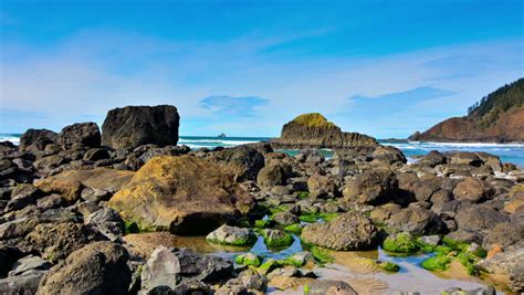 Cliff Overlooking The Ocean And The Tillamook Offshore Lighthouse At Ecola State Park In Oregon ...