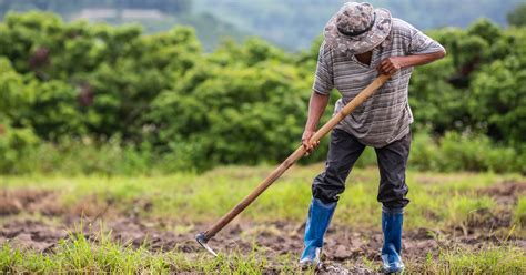 Salary of a Farmer in Japan - The Pinoy OFW