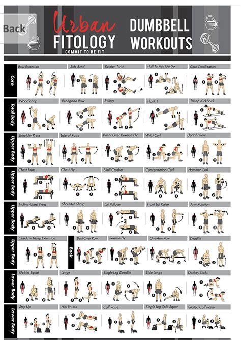 Printable Dumbbell Workout Plan