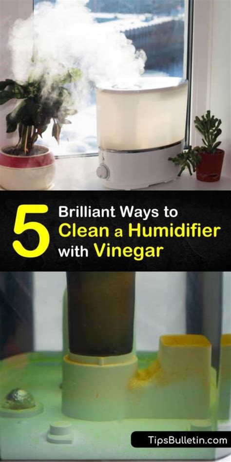 5 Brilliant Ways to Clean a Humidifier with Vinegar