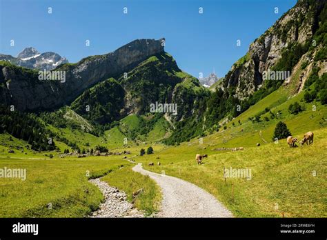 Steep mountains and hiking trail, Seealpsee, Wasserauen, Alpstein, Appenzell Alps, Canton ...