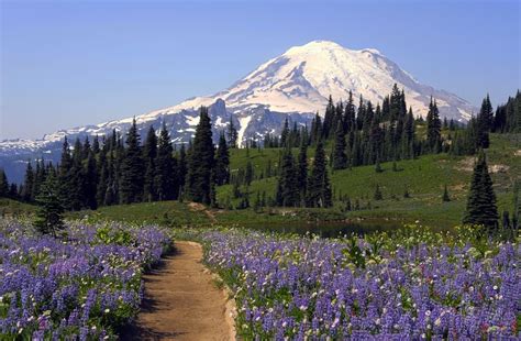 Top 20 Washington State Attractions You Just Cannot Miss | Things To Do ...