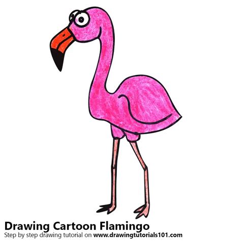 How to Draw a Cartoon Flamingo (Cartoon Animals) Step by Step ...