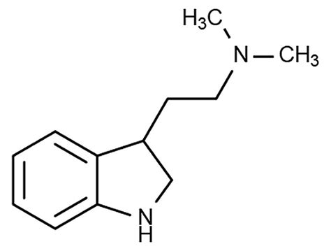 DMT The Spirit Molecule — DOP