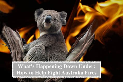 How to Help Fight Australia Fires & Rebuild? - Earthava