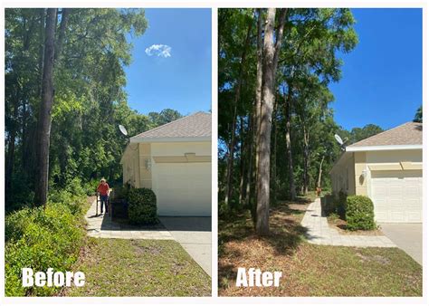 Tree Trimming Service in Dunnellon, FL