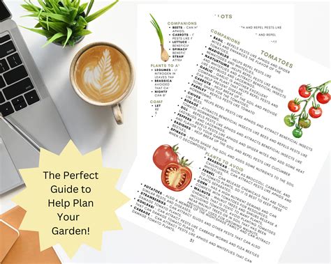 2024 Companion Planting Guide Garden Planning Chart Companion Plant Printable New Gardener Plan ...