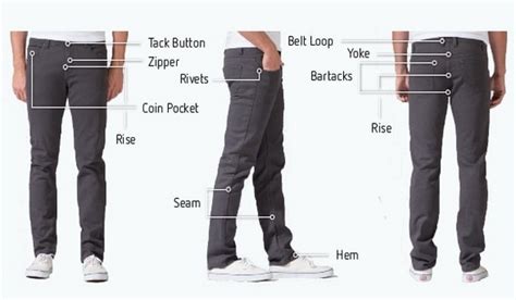 Share 82+ parts of trousers pants - in.cdgdbentre