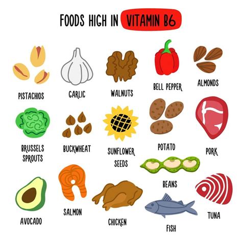 Foods High in vitamin B6. Vector illustration with healthy foods rich in vitamin B6. Organic ...