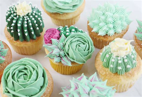 Sweet Vanilla Succulent Cupcake Decorating Tutorial | Amanda Rettke ...