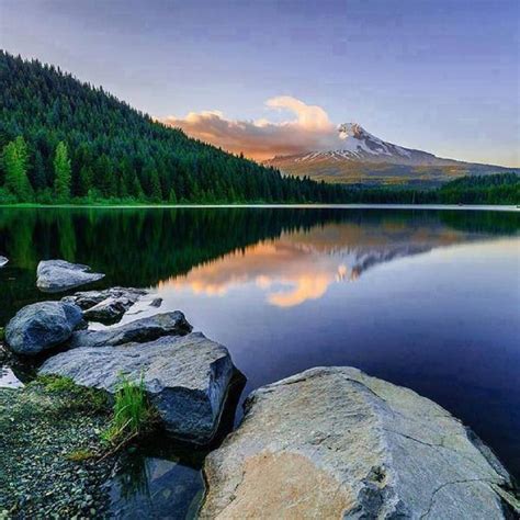 Wonderful Places on Twitter | Trillium lake, Oregon landscape, Oregon photography