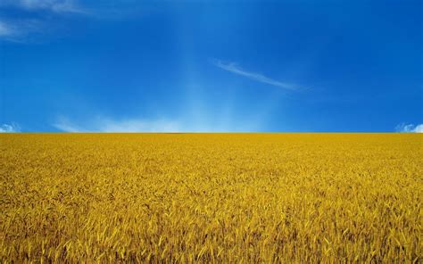 🔥 [60+] Ukraine Flag Wallpapers | WallpaperSafari