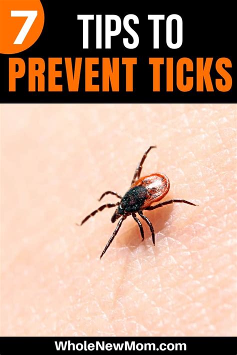 7 Tick Prevention Tips You Need to Know! | Whole New Mom