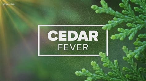 Cedar fever, the flu or COVID-19? Explaining the differences in symptoms | kvue.com