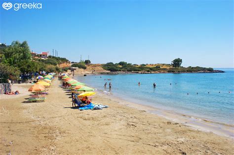 Lassithi Ammoudara beach: Photos, Map | Greeka