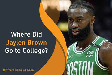 Where Did Jaylen Brown Go to College? His College Career