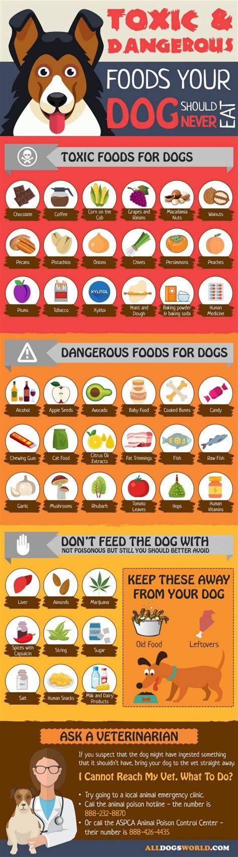 Pin by Clever Tail on Best friends | Toxic foods for dogs, Dangerous foods for dogs, Dog food ...