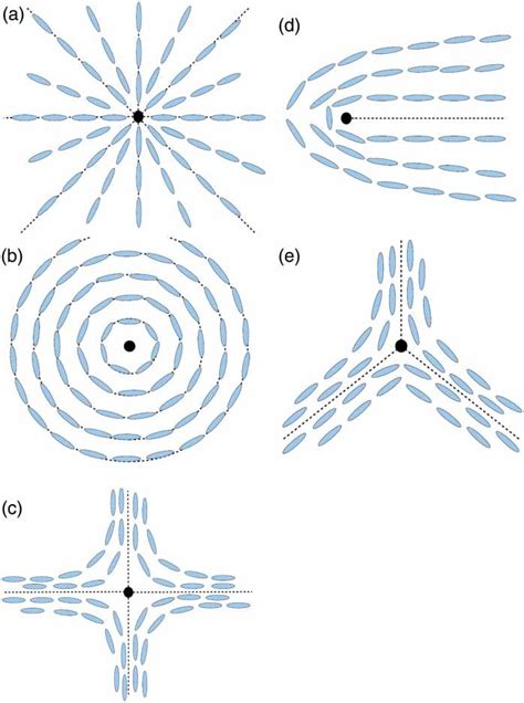 Typical topological defects observed in a liquid crystal sample. With ...