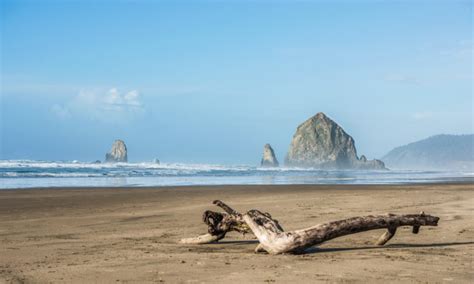 The 12 Best Hotels in Cannon Beach, Oregon – Wandering Wheatleys