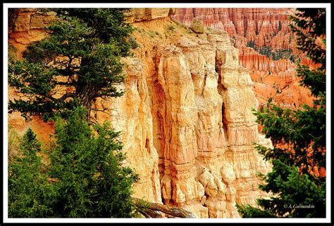 Hoodoo Rock Formations, Bryce Canyon, Utah, USA Photograph by A Macarthur Gurmankin