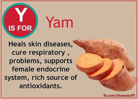 Benefits of Yam | Yams, Food facts, Nutrition bars