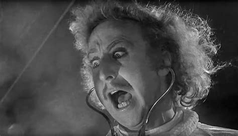 Young Frankenstein Gene Wilder Goggles