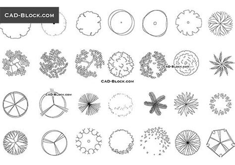 Trees for Landscaping Plan - download free CAD Block | Tree plan ...