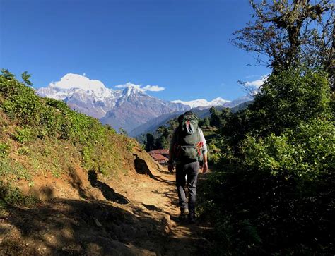 Easy Mardi Himal Trek Complete Guide and Itinerary