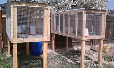 Quail hutches | Quail coop, Chickens backyard, Backyard chicken coops