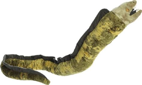 Large Eco-Friendly Textured Plush Moray Eel | AMNH Store