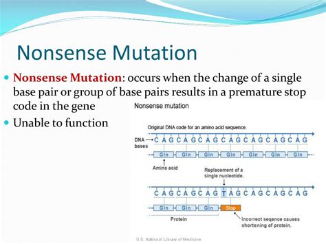 PPT - Mutations PowerPoint Presentation, free download - ID:2015860