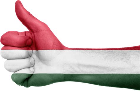 13 fascinating facts about the Hungarian language - Daily News Hungary