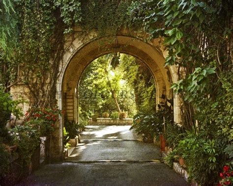 Original Photograph Magical Garden by thecoloursoflife on Etsy