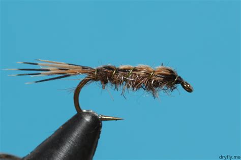 Simple Pheasant Tail Nymph | flyfisher.org