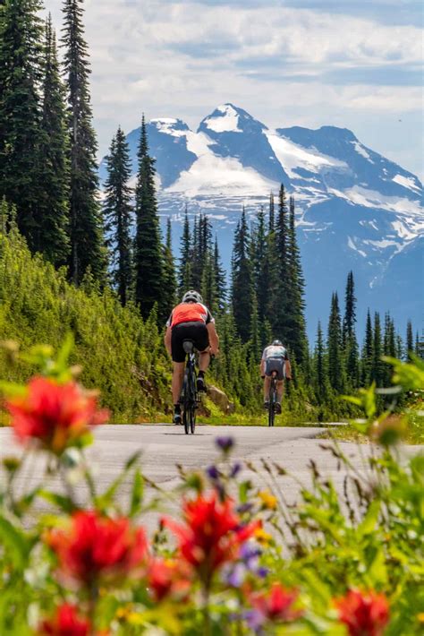 Mountain Biking, Road Biking, & Gravel Biking | Pedal Revelstoke